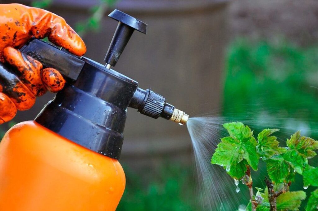 Совместимость биопрепаратов для растений: что можно и чего нельзя смешивать