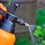 Совместимость биопрепаратов для растений: что можно и чего нельзя смешивать