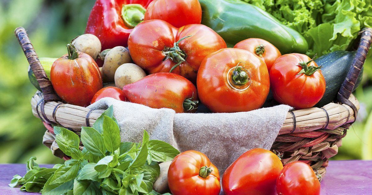 Ранние помидоры: как получить урожай уже в мае на вашем участке